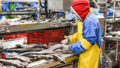 商户接入“互联网+明厨亮灶”