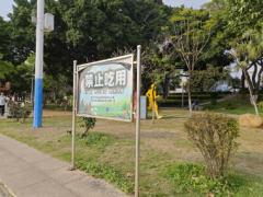 <b>进而发生头晕、、口唇及手指、无力</b>